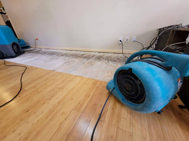 Professional Water Extraction technician working in Lima, PA